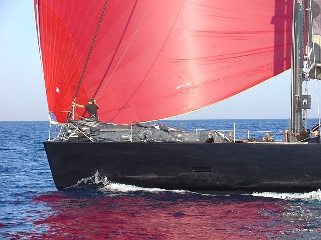 wallys - 26.jpg